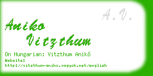 aniko vitzthum business card