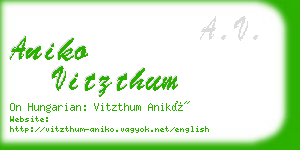 aniko vitzthum business card